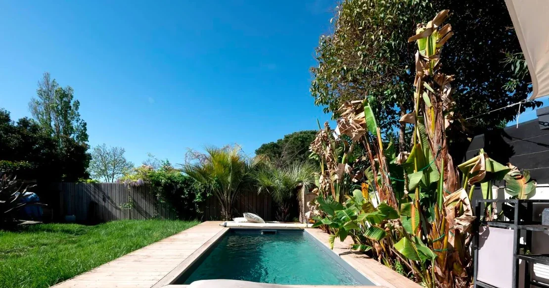 La piscine entourée de végétation