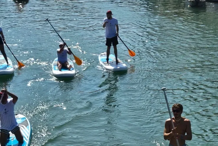 Stand up paddle